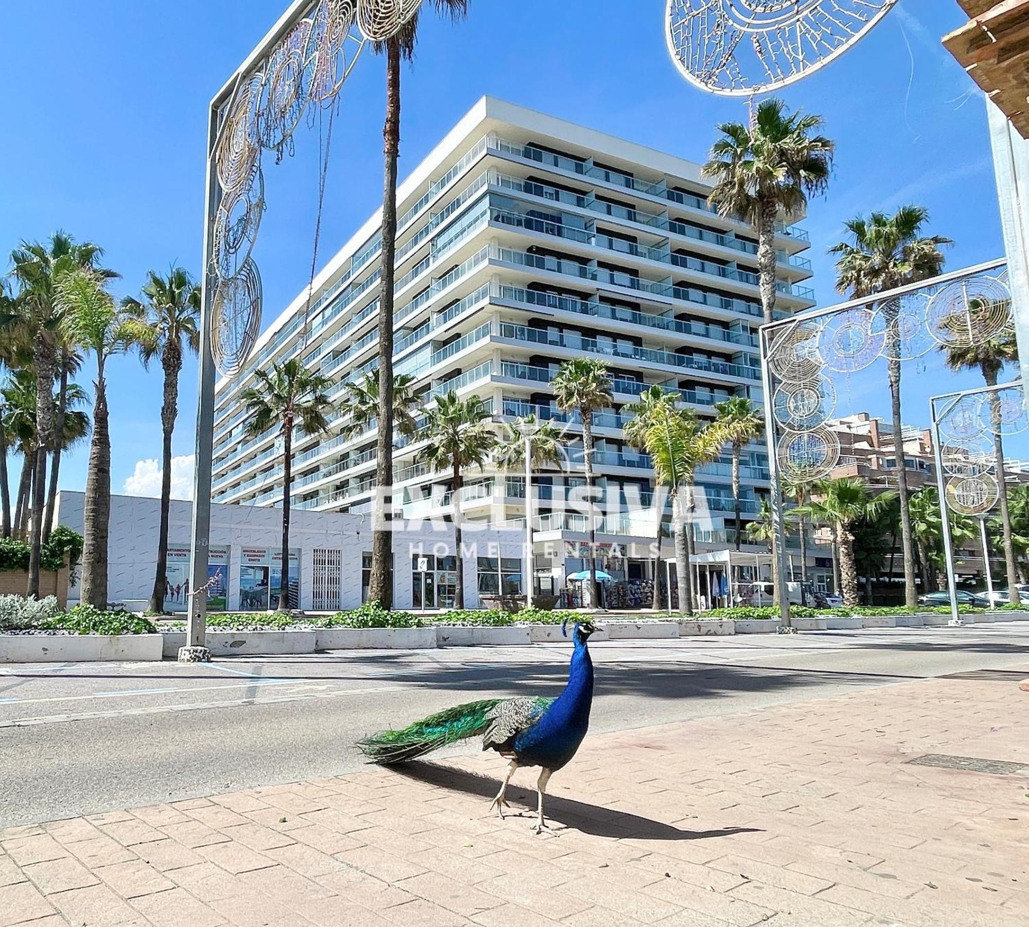 Apartamento Albamarina, 1ªlinea, Magic World, Vistas Al Mar! Orpesa Kültér fotó